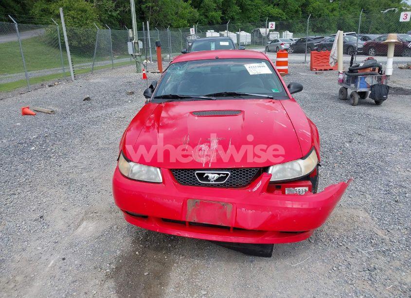 Photo 12 of 2000 Ford Mustang GT (VIN 1FAFP42X1YF144047)