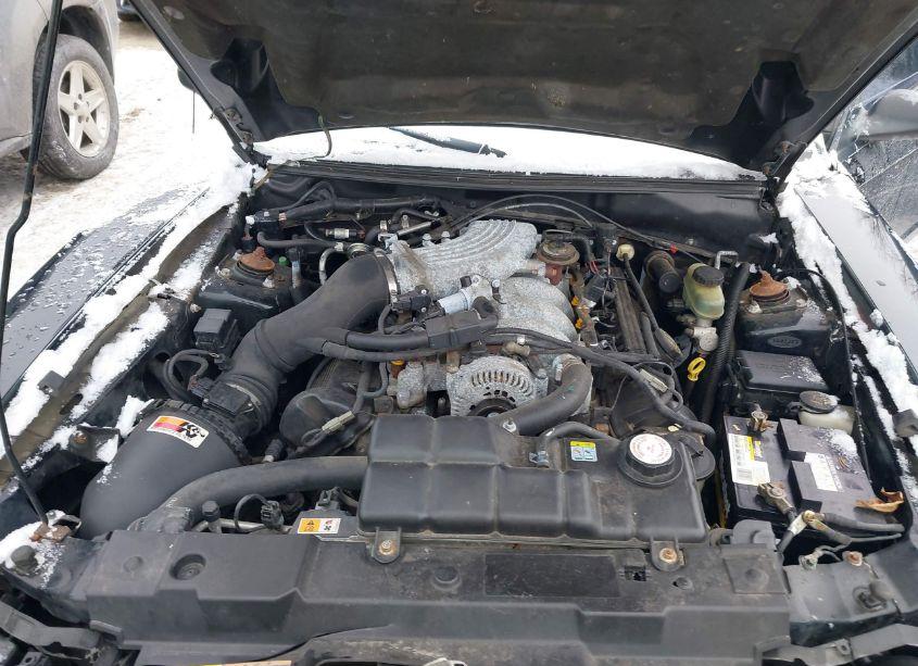 Photo 10 of 2001 Ford Mustang GT (VIN 1FAFP42X21F251789)