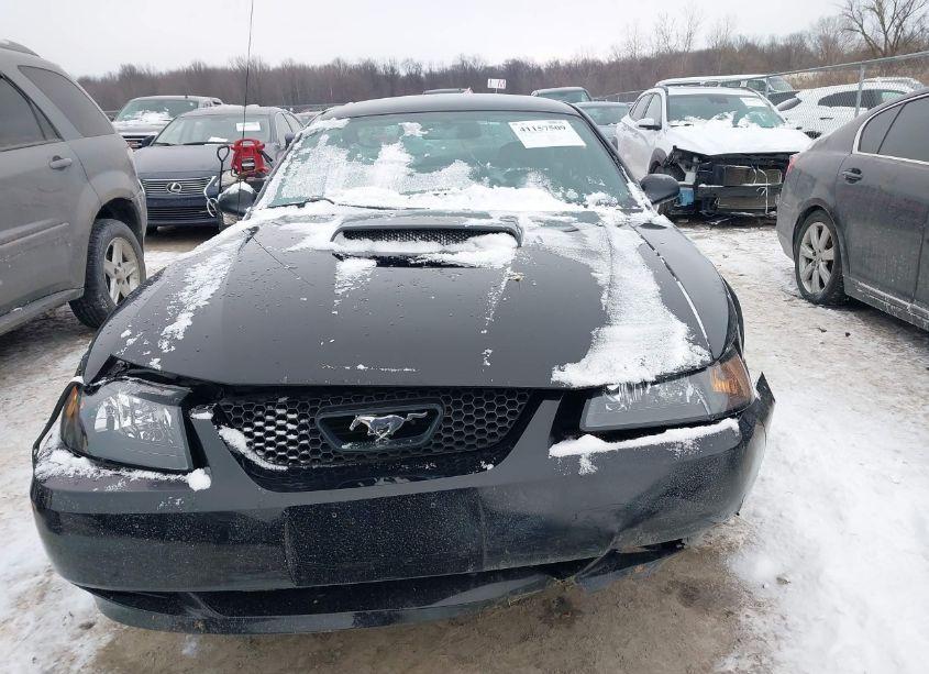 Photo 12 of 2001 Ford Mustang GT (VIN 1FAFP42X21F251789)