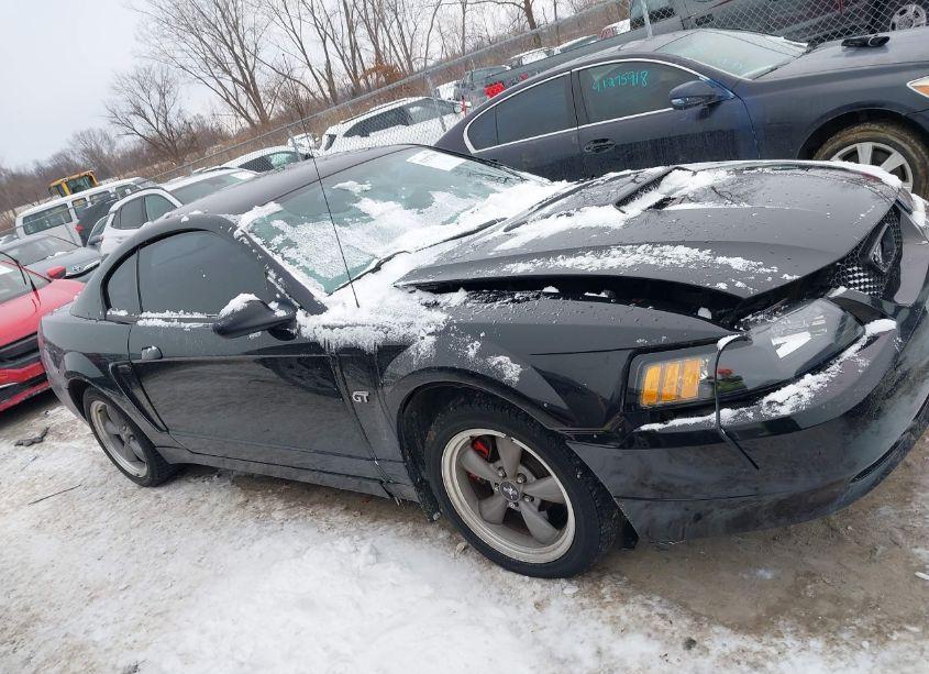 Photo 13 of 2001 Ford Mustang GT (VIN 1FAFP42X21F251789)