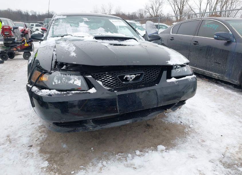 Photo 6 of 2001 Ford Mustang GT (VIN 1FAFP42X21F251789)