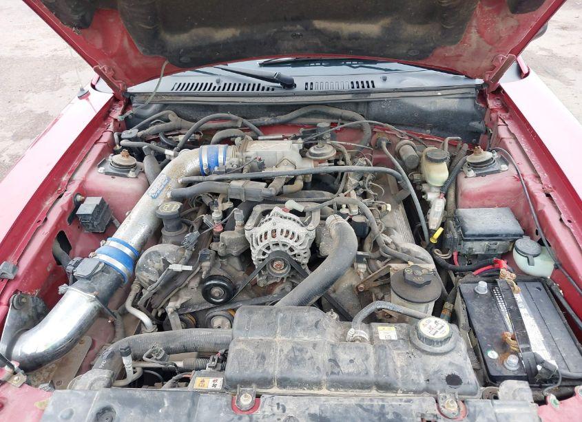 Photo 10 of 2003 Ford Mustang GT (VIN 1FAFP42X23F369750)