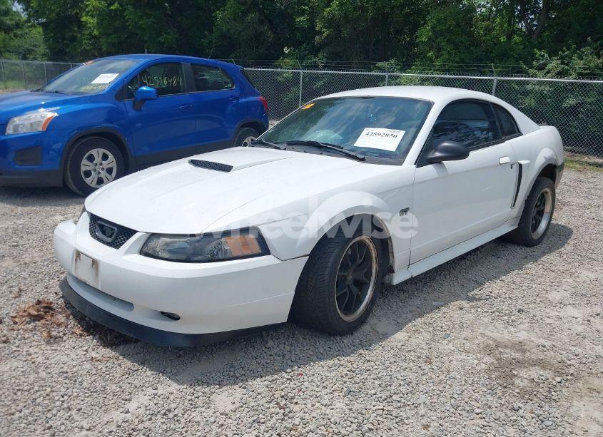 Photo 2 of 2000 Ford Mustang GT (VIN 1FAFP42X2YF293616)