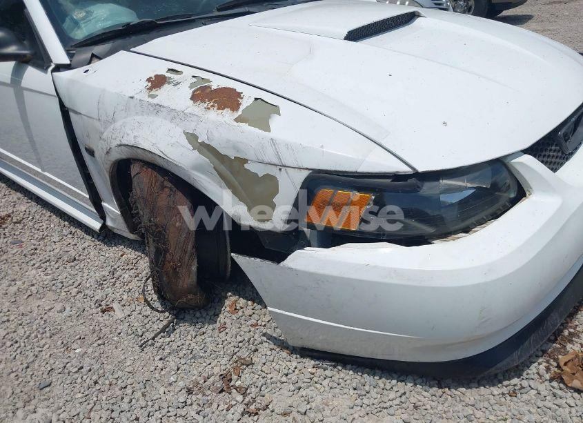 Photo 6 of 2000 Ford Mustang GT (VIN 1FAFP42X2YF293616)