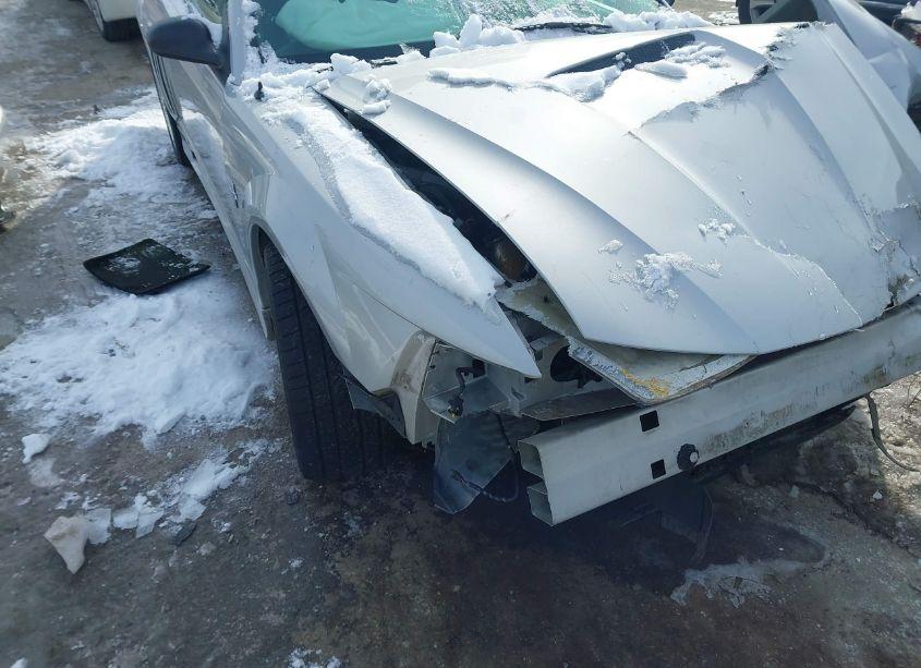 Photo 16 of 2000 Ford Mustang GT (VIN 1FAFP42X2YF304291)