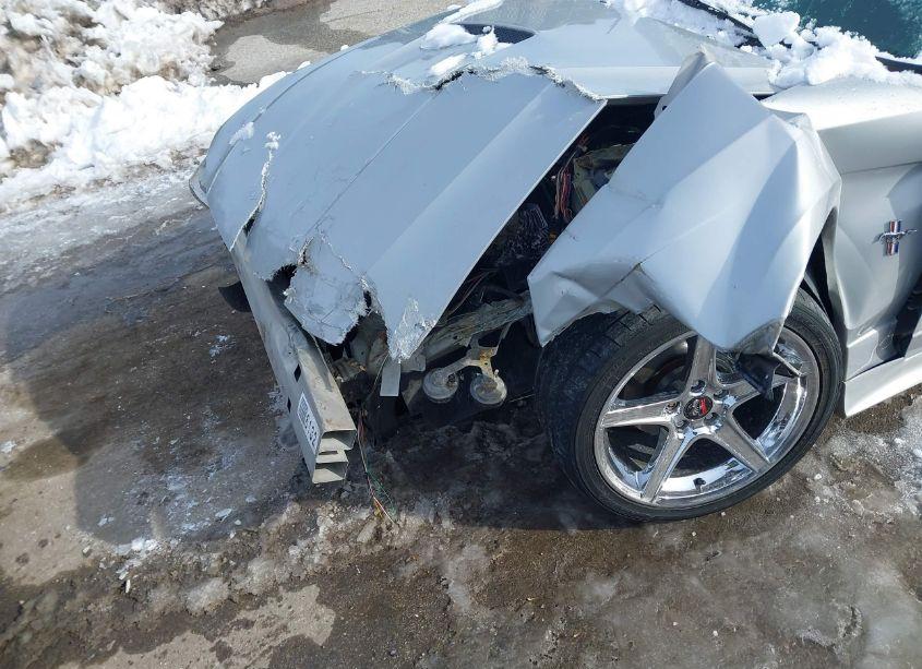 Photo 6 of 2000 Ford Mustang GT (VIN 1FAFP42X2YF304291)