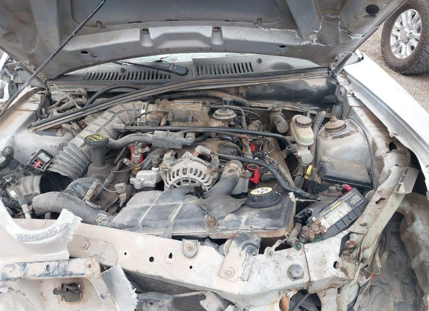 Photo 10 of 2001 Ford Mustang GT (VIN 1FAFP42X31F176827)