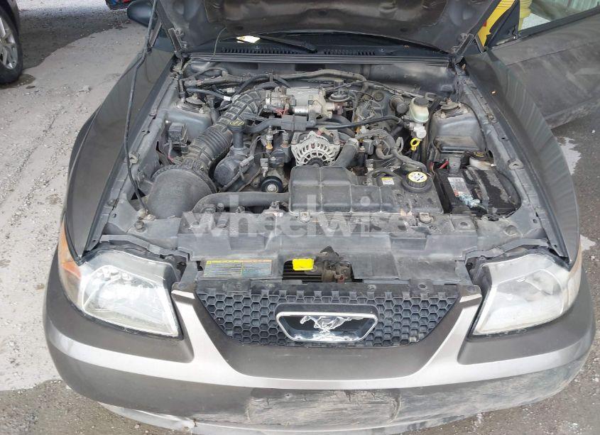 Photo 10 of 2001 Ford Mustang GT (VIN 1FAFP42X31F235570)