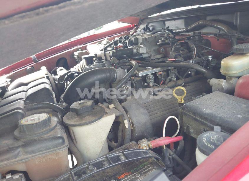 Photo 10 of 2002 Ford Mustang GT (VIN 1FAFP42X32F161388)