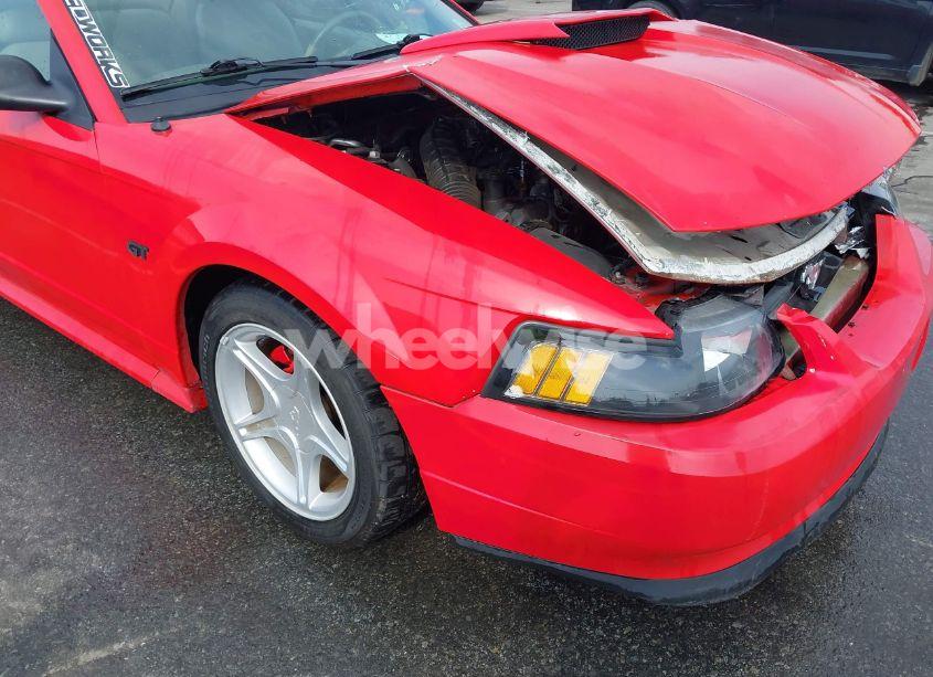 Photo 17 of 2002 Ford Mustang GT (VIN 1FAFP42X32F161388)