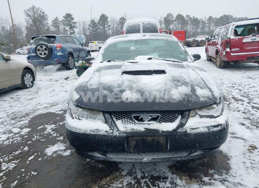 Photo 6 of 2004 Ford Mustang GT (VIN 1FAFP42X34F119970)
