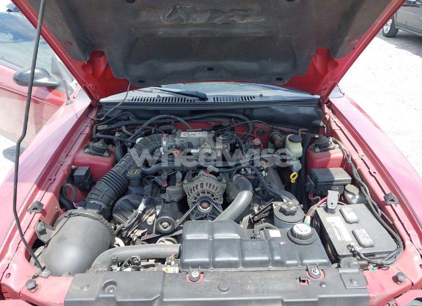 Photo 10 of 2004 Ford Mustang GT (VIN 1FAFP42X34F131116)