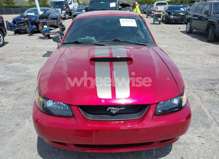 Photo 12 of 2004 Ford Mustang GT (VIN 1FAFP42X34F131116)
