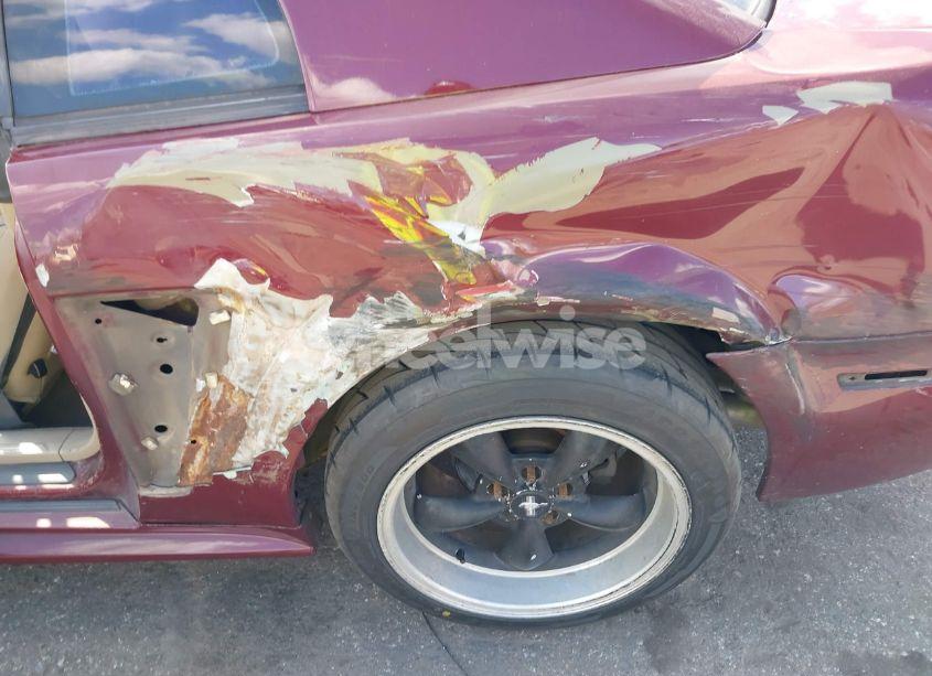 Photo 6 of 2004 Ford Mustang GT (VIN 1FAFP42X34F149339)