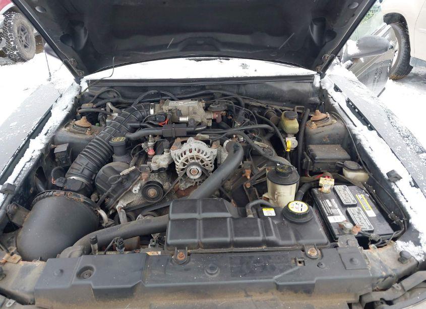 Photo 10 of 2002 Ford Mustang GT (VIN 1FAFP42X62F182140)