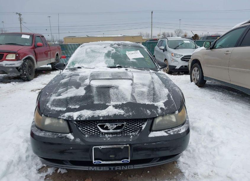 Photo 12 of 2002 Ford Mustang GT (VIN 1FAFP42X62F182140)