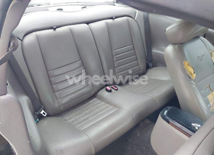 Photo 8 of 2004 Ford Mustang GT (VIN 1FAFP42X64F174252)