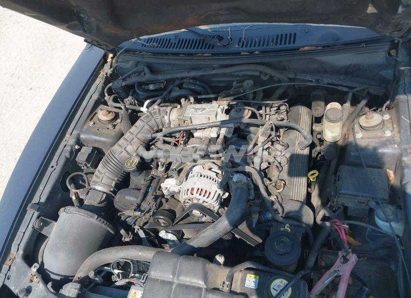 Photo 10 of 2002 Ford Mustang GT (VIN 1FAFP42X72F103381)