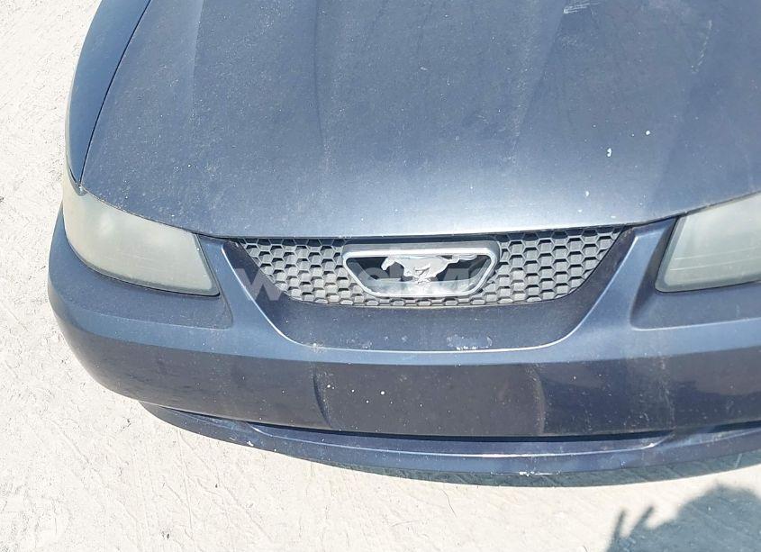 Photo 6 of 2002 Ford Mustang GT (VIN 1FAFP42X72F103381)