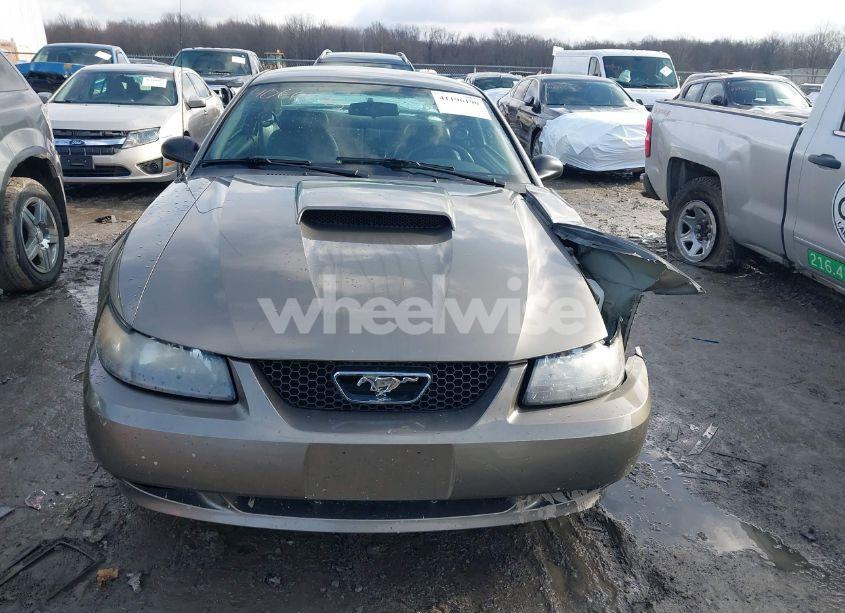 Photo 12 of 2001 Ford Mustang GT (VIN 1FAFP42X81F195745)