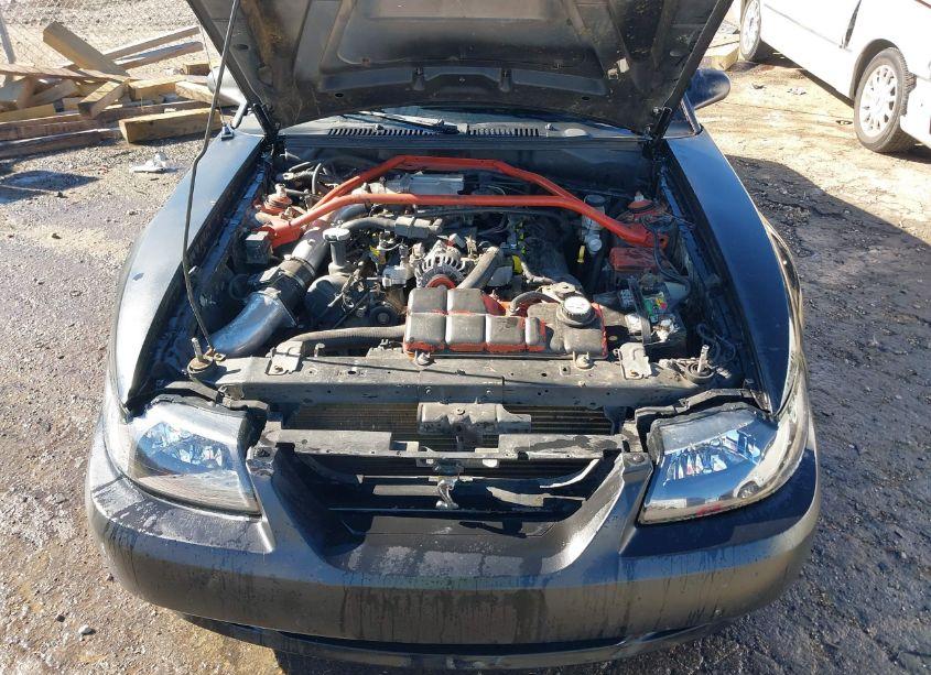 Photo 10 of 2001 Ford Mustang GT (VIN 1FAFP42X81F238366)