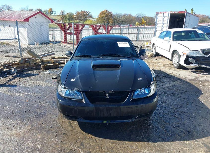 Photo 12 of 2001 Ford Mustang GT (VIN 1FAFP42X81F238366)