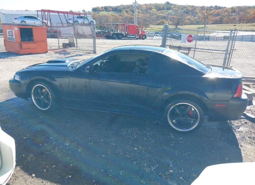 Photo 14 of 2001 Ford Mustang GT (VIN 1FAFP42X81F238366)