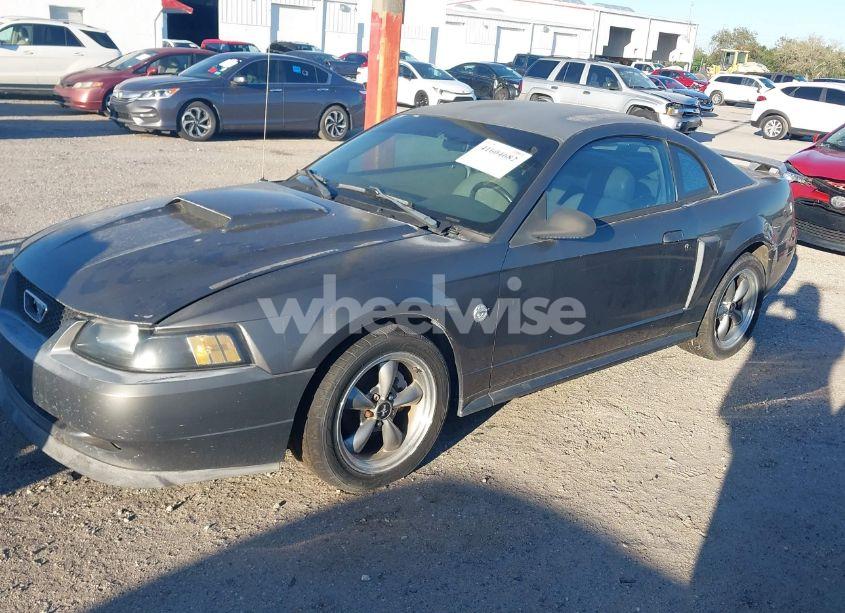 Photo 2 of 2004 Ford Mustang GT (VIN 1FAFP42X84F115624)