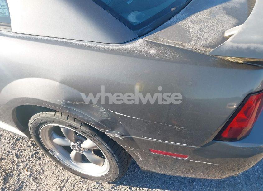 Photo 6 of 2004 Ford Mustang GT (VIN 1FAFP42X84F115624)