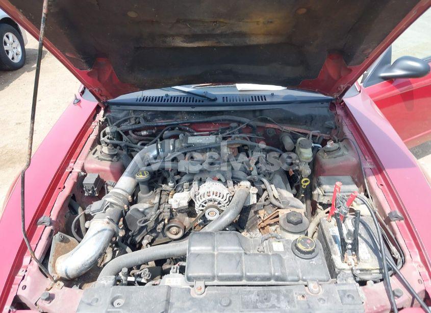 Photo 10 of 2001 Ford Mustang GT (VIN 1FAFP42X91F240613)