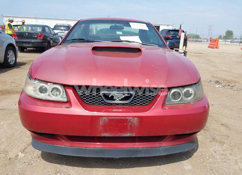 Photo 12 of 2001 Ford Mustang GT (VIN 1FAFP42X91F240613)