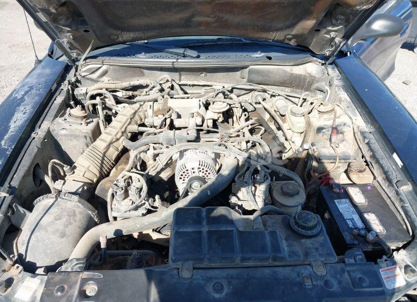 Photo 10 of 1998 Ford Mustang GT (VIN 1FAFP42X9WF216674)