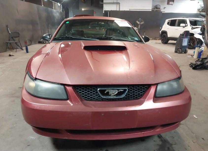 Photo 12 of 2003 Ford Mustang GT (VIN 1FAFP42XX3F311188)