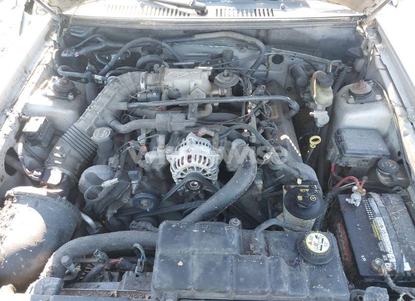 Photo 10 of 2003 Ford Mustang GT (VIN 1FAFP42XX3F428821)