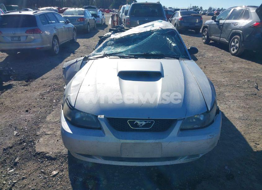 Photo 6 of 2003 Ford Mustang GT (VIN 1FAFP42XX3F428821)