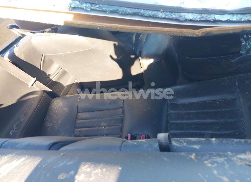 Photo 8 of 2003 Ford Mustang GT (VIN 1FAFP42XX3F428821)