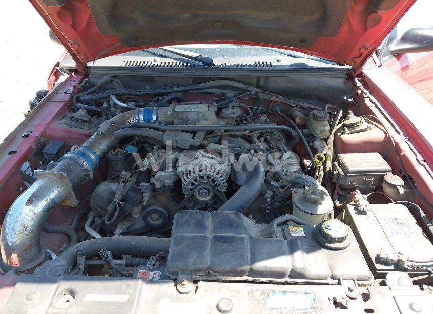 Photo 10 of 2004 Ford Mustang GT (VIN 1FAFP42XX4F210024)