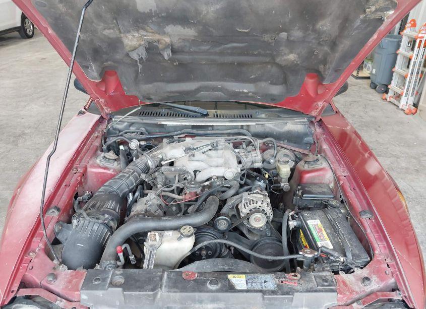 Photo 10 of 2003 Ford Mustang (VIN 1FAFP44403F407592)