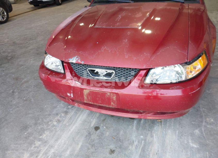 Photo 6 of 2003 Ford Mustang (VIN 1FAFP44403F407592)