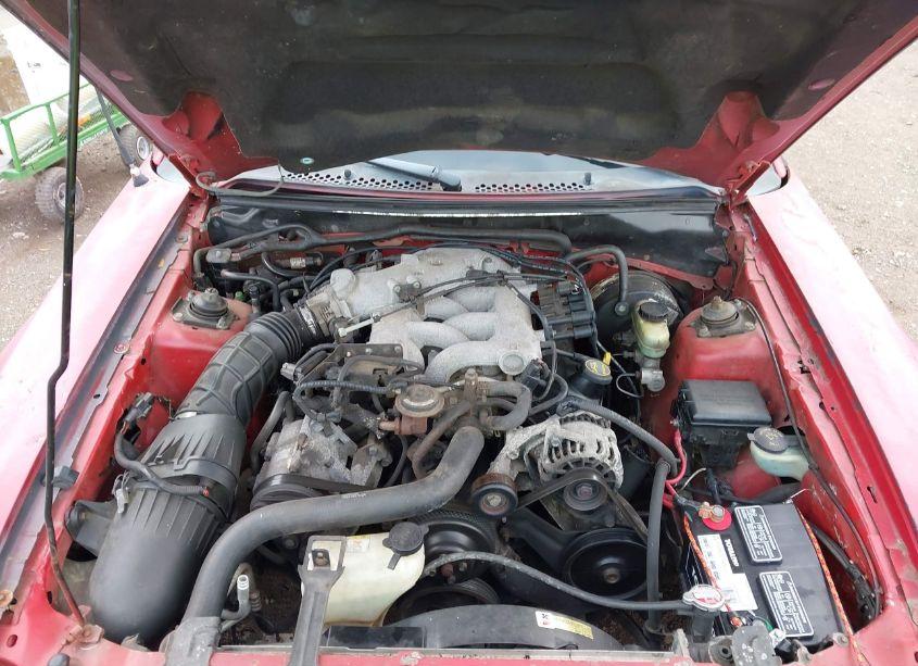 Photo 10 of 2003 Ford Mustang (VIN 1FAFP44413F362601)