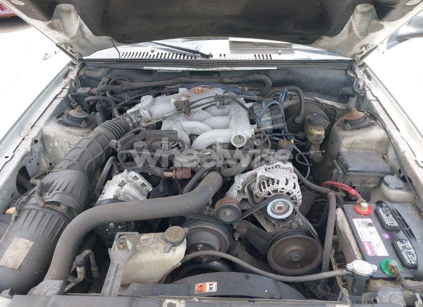 Photo 10 of 2003 Ford Mustang (VIN 1FAFP44423F446524)