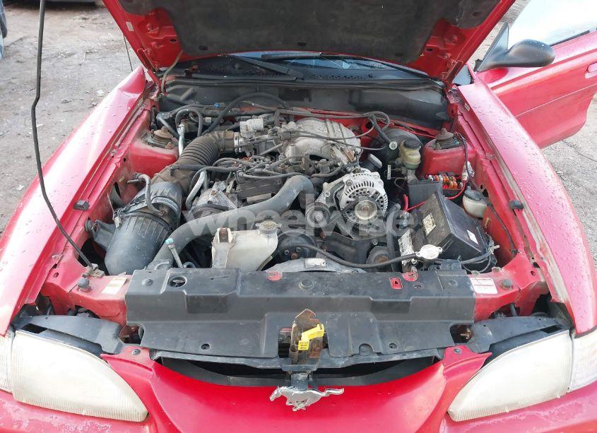 Photo 10 of 1998 Ford Mustang (VIN 1FAFP4442WF140251)