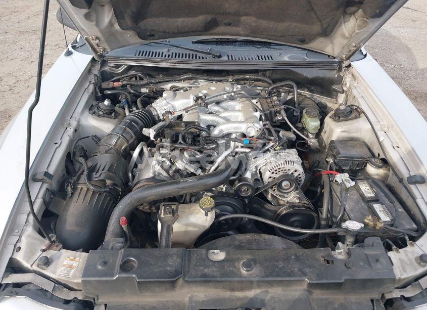 Photo 10 of 2000 Ford Mustang (VIN 1FAFP4442YF171230)