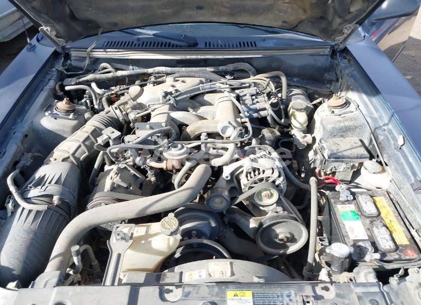 Photo 10 of 2001 Ford Mustang (VIN 1FAFP44431F199608)