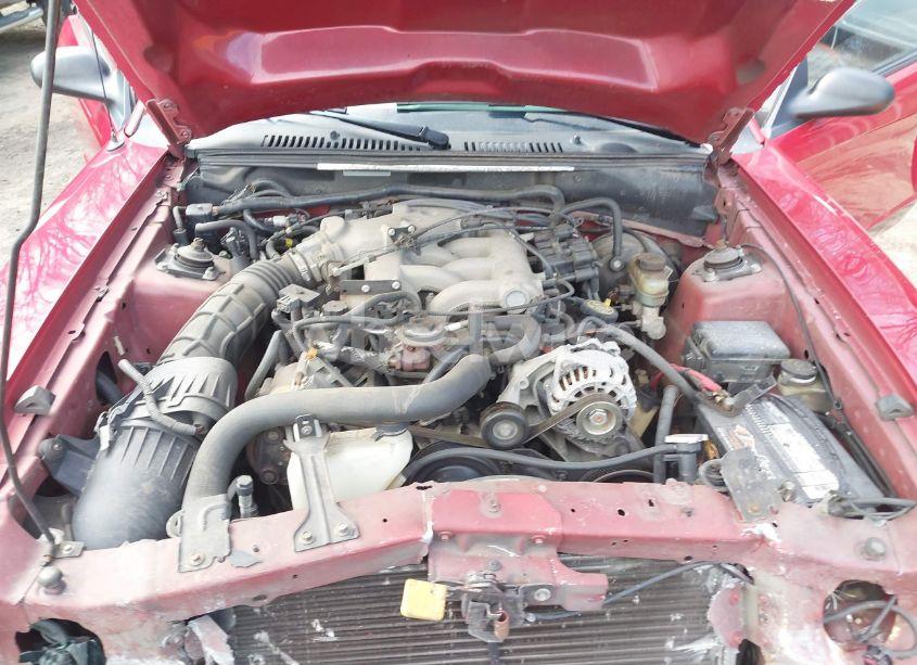 Photo 10 of 2002 Ford Mustang (VIN 1FAFP44432F150555)