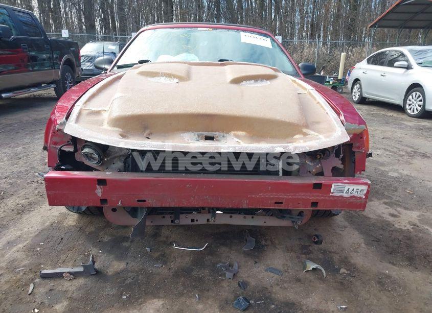 Photo 13 of 2002 Ford Mustang (VIN 1FAFP44432F150555)