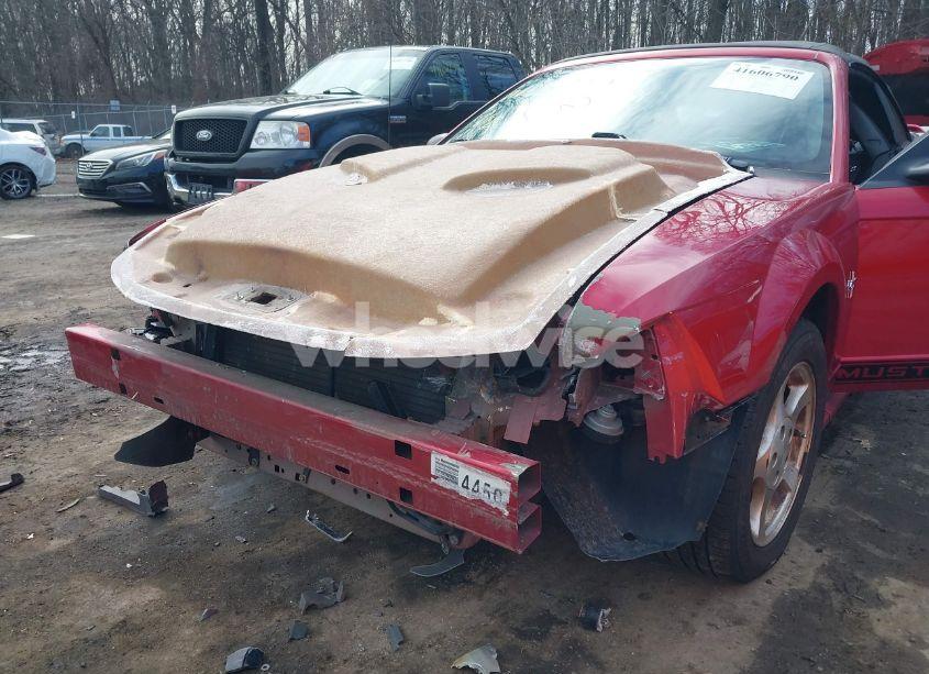 Photo 6 of 2002 Ford Mustang (VIN 1FAFP44432F150555)