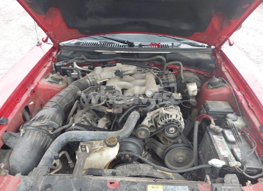 Photo 10 of 2003 Ford Mustang (VIN 1FAFP44433F314534)