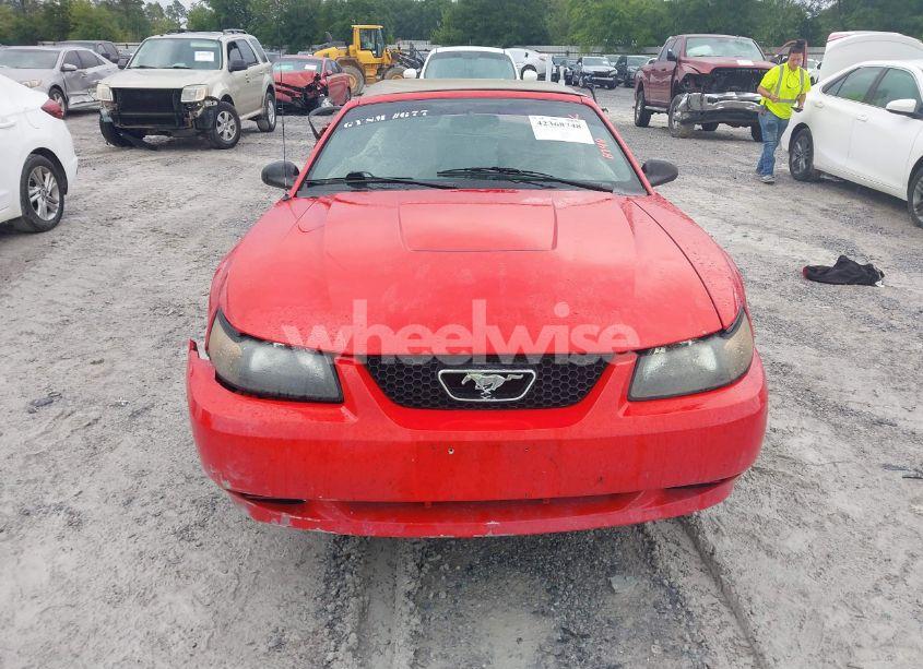Photo 13 of 2003 Ford Mustang (VIN 1FAFP44433F314534)