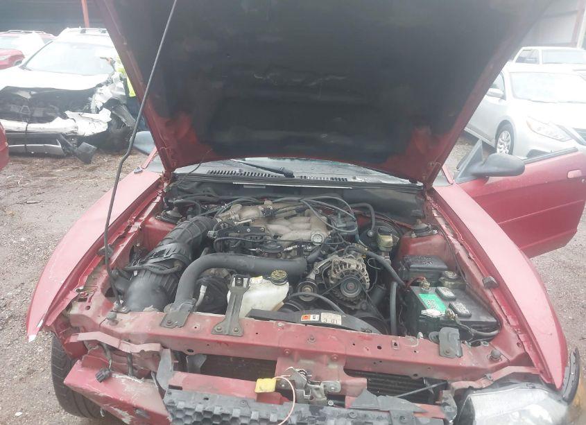 Photo 10 of 2004 Ford Mustang (VIN 1FAFP44434F112844)